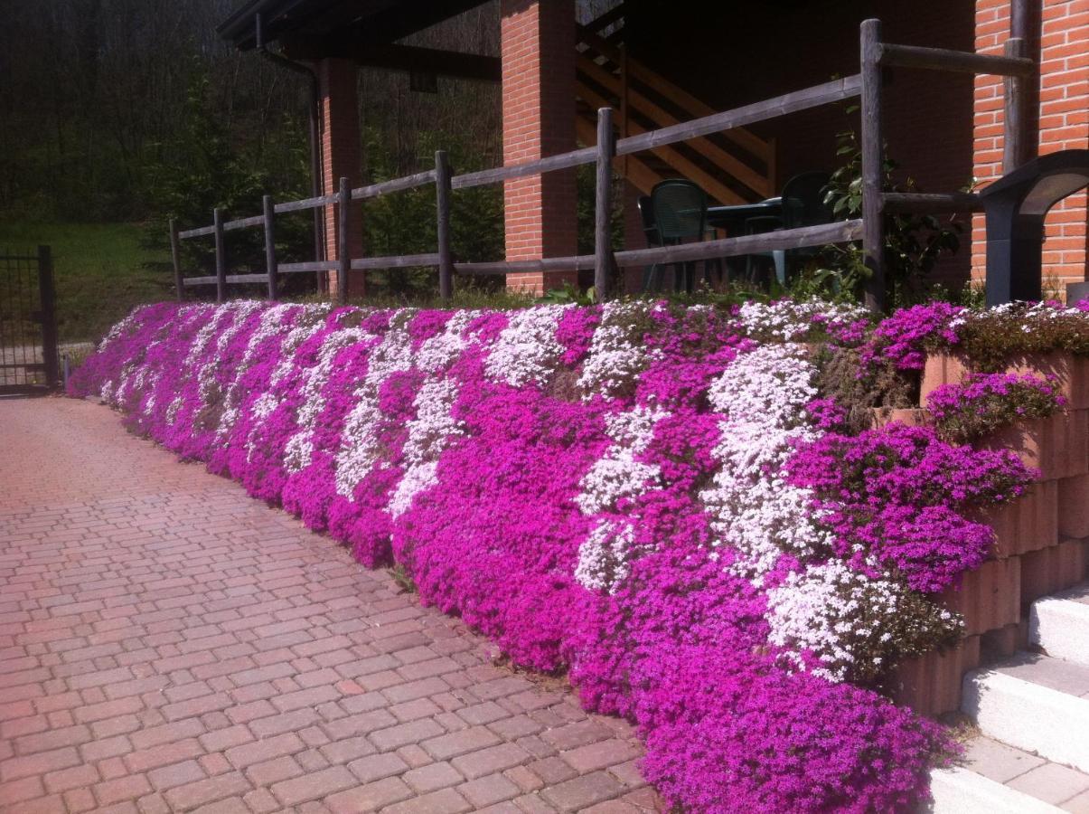 Agriturismo Altana Del Motto Rosso Gattico Bagian luar foto